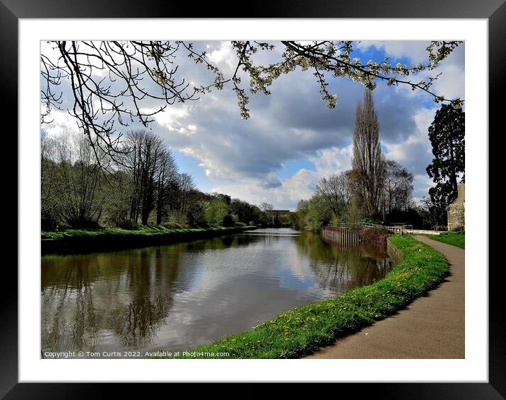 River Don at Sprotbrough Framed Mounted Print by Tom Curtis