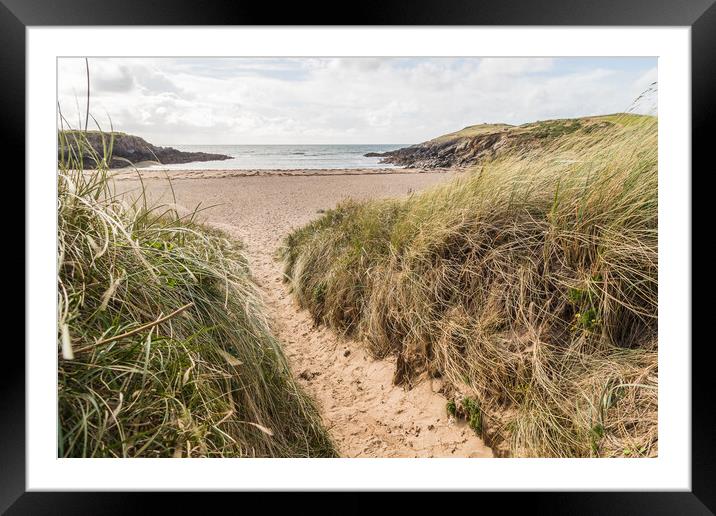 Trail down to Porth Nobla Framed Mounted Print by Jason Wells