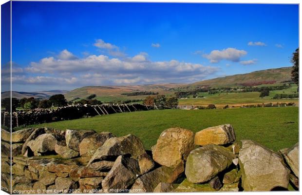 The Dales at Hawes Canvas Print by Tom Curtis