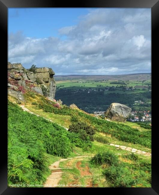 The Cow and Calf Ilkley Moor Framed Print by Diana Mower