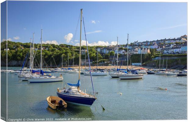 Boats moored at Newquay Wales Canvas Print by Chris Warren