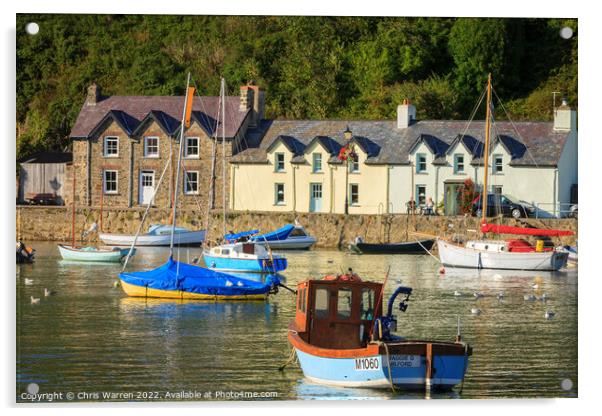 Pretty quayside cottages at Lower Town Fishguard  Acrylic by Chris Warren