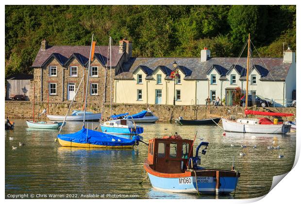 Pretty quayside cottages at Lower Town Fishguard  Print by Chris Warren