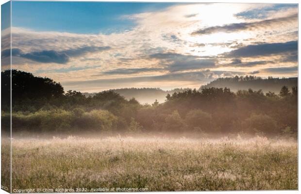 Misty Morning on Waun Gyrlais Heath Canvas Print by Chris Richards