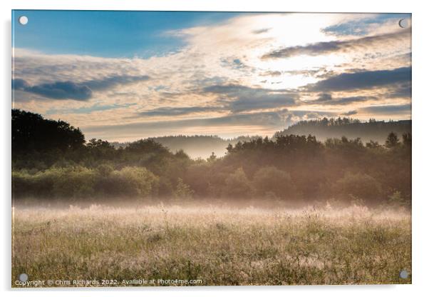 Misty Morning on Waun Gyrlais Heath Acrylic by Chris Richards