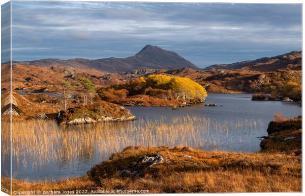 Canisp Autumn Colours Loch Suardalain Scotland Canvas Print by Barbara Jones