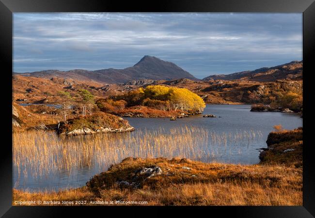 Canisp Autumn Colours Loch Suardalain Scotland Framed Print by Barbara Jones