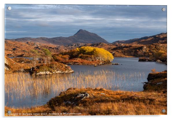 Canisp Autumn Colours Loch Suardalain Scotland Acrylic by Barbara Jones