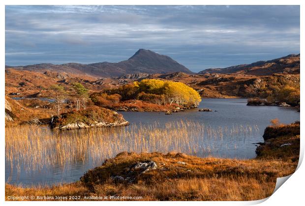 Canisp Autumn Colours Loch Suardalain Scotland Print by Barbara Jones
