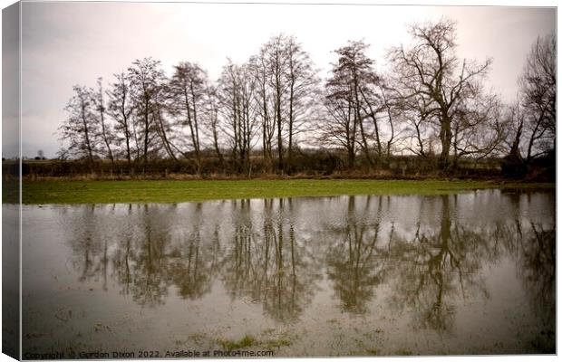 A row of trees reflected in flood water in a Somerset field Canvas Print by Gordon Dixon