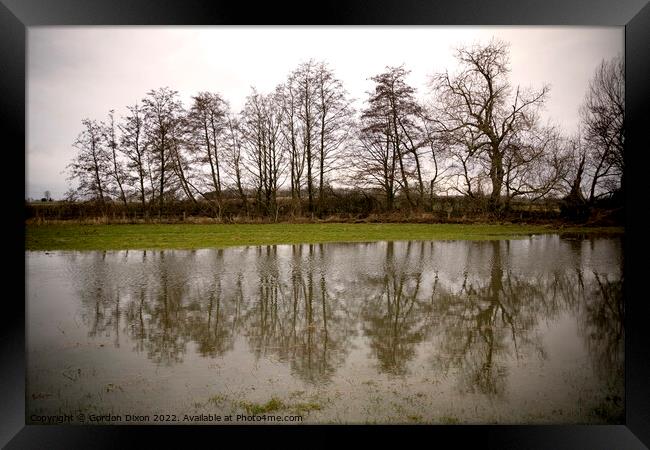 A row of trees reflected in flood water in a Somerset field Framed Print by Gordon Dixon