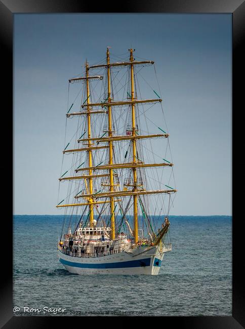 Tall Ship Framed Print by Ron Sayer