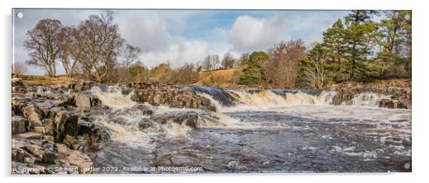 Low Force Waterfall Teesdale Horseshoe Panorama Acrylic by Richard Laidler