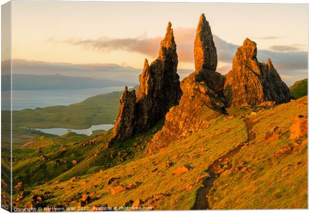 Morning Glow Over Old Man of Storr Canvas Print by Northern Wild