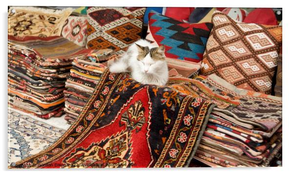 Colourful Turkish rugs and cushions with sleeping cat - Outdoor market, Istanbul Acrylic by Gordon Dixon