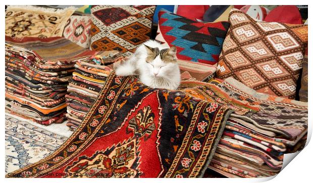 Colourful Turkish rugs and cushions with sleeping cat - Outdoor market, Istanbul Print by Gordon Dixon