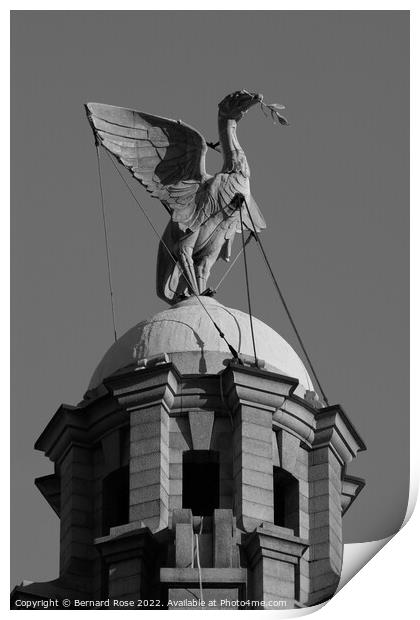 Royal Liver Building - Liverbird Print by Bernard Rose Photography