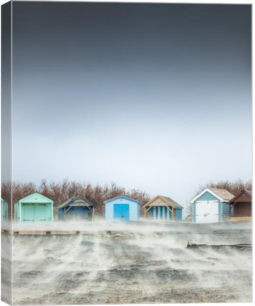 Sandstorm, West Wittering Canvas Print by Mark Jones