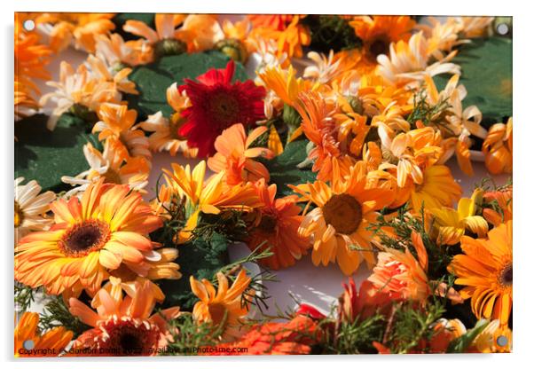 Red and orange chrysanthemums Acrylic by Gordon Dixon