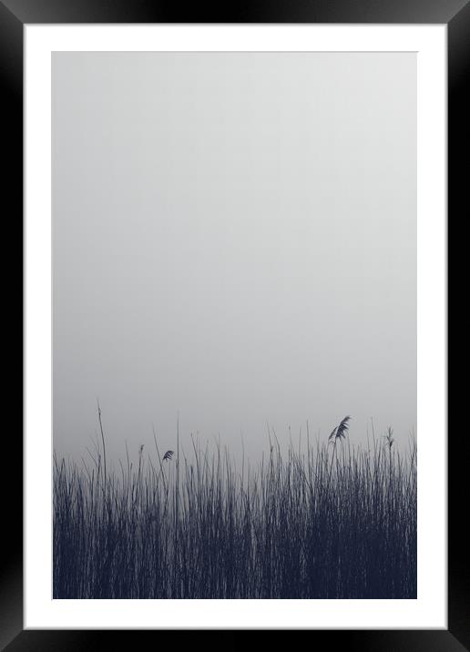 The reeds and the infinity Framed Mounted Print by Dimitrios Paterakis