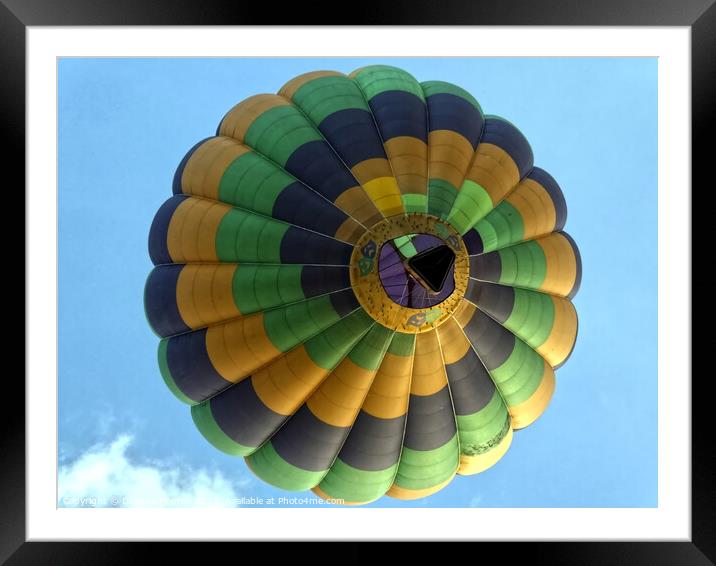 Soaring Amidst the Colours Framed Mounted Print by Deanne Flouton