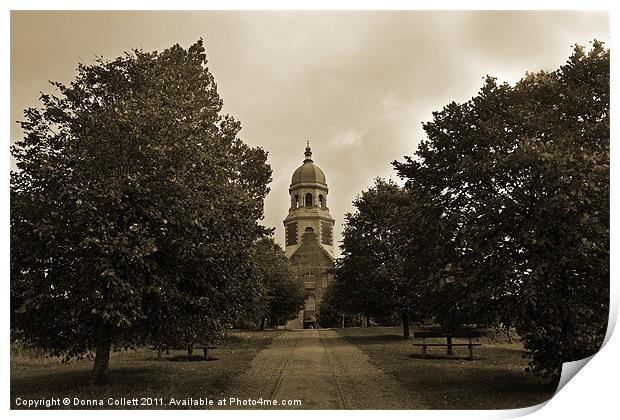 Old Hospital Drive Print by Donna Collett