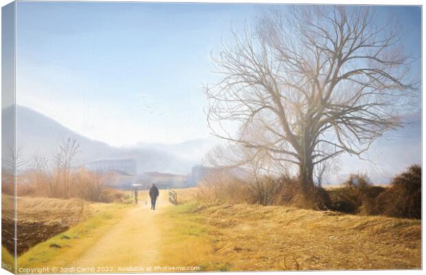 Mystical Foggy Valley -  Canvas Print by Jordi Carrio