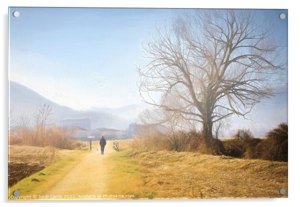 Mystical Foggy Valley -  Acrylic by Jordi Carrio