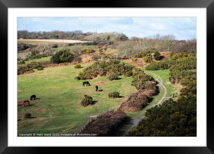 The Country Park Framed Mounted Print by Mark Ward