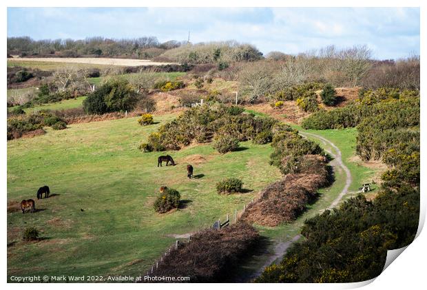 The Country Park Print by Mark Ward