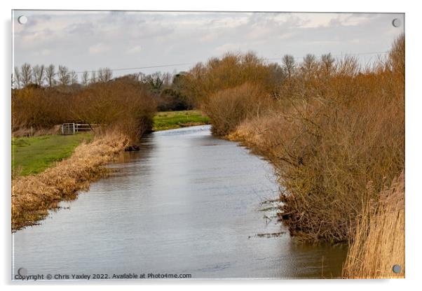 River Bure, Norfolk Broads Acrylic by Chris Yaxley
