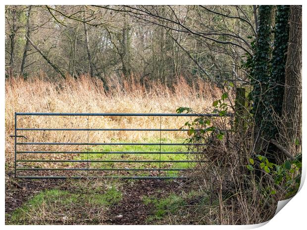 Rural Gate Print by Chris Yaxley