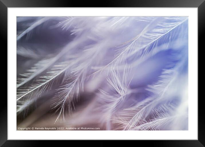 Delicate Pale Blue and autumnal tones Feather Boa  Framed Mounted Print by Pamela Reynolds