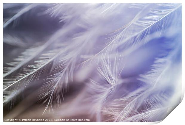 Delicate Pale Blue and autumnal tones Feather Boa  Print by Pamela Reynolds