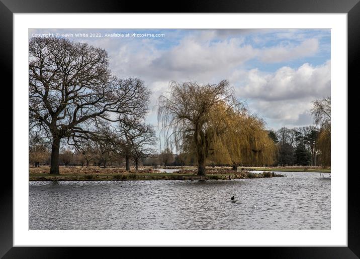 Bushy Park vista of ponds Framed Mounted Print by Kevin White