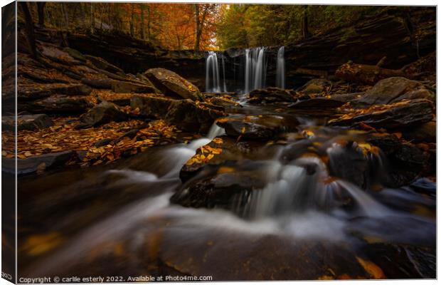 Waterfall at Ricketts Glen Canvas Print by carlile esterly