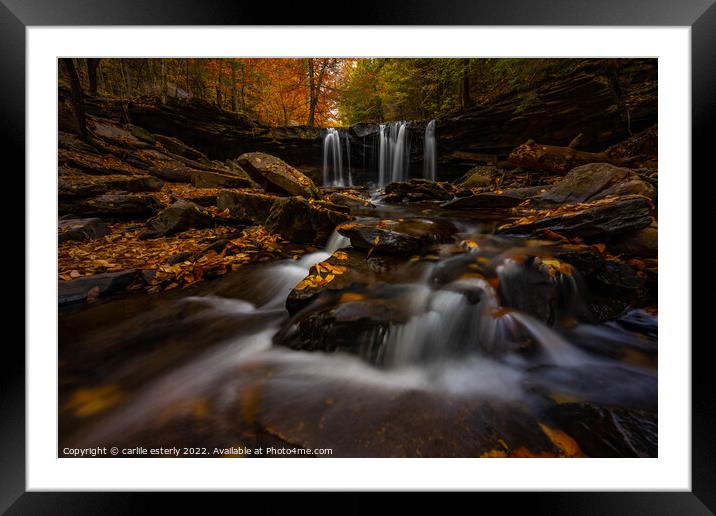 Waterfall at Ricketts Glen Framed Mounted Print by carlile esterly