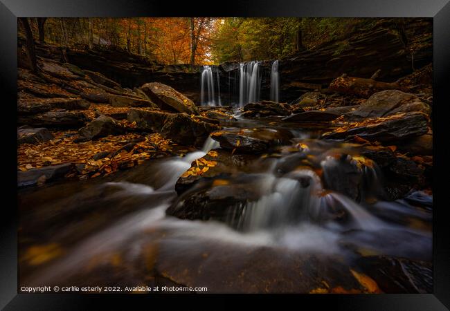 Waterfall at Ricketts Glen Framed Print by carlile esterly
