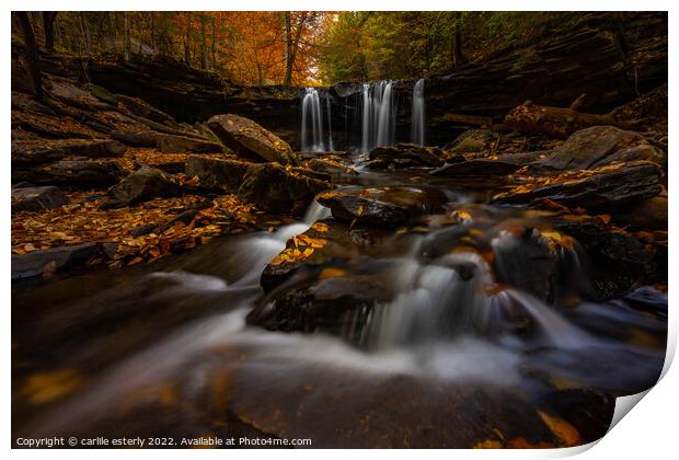 Waterfall at Ricketts Glen Print by carlile esterly