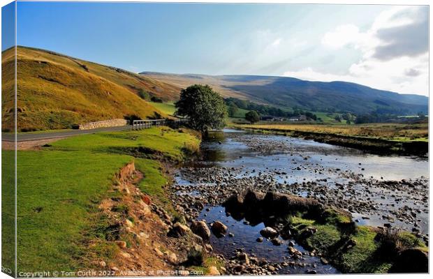 Mallerstang Common Canvas Print by Tom Curtis