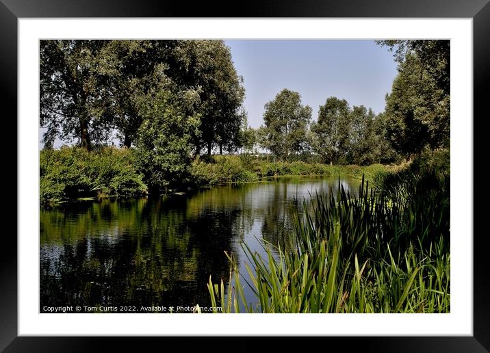 Chelmer and Blackwater Navigation Canal Essex Framed Mounted Print by Tom Curtis