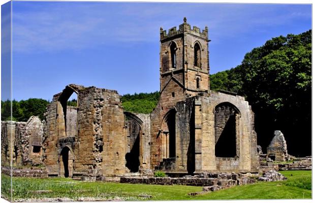 Mount Grace Priory North Yorkshire Canvas Print by Tom Curtis