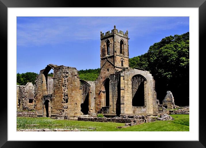 Mount Grace Priory North Yorkshire Framed Mounted Print by Tom Curtis