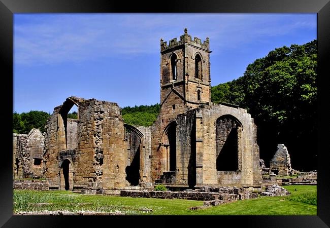 Mount Grace Priory North Yorkshire Framed Print by Tom Curtis