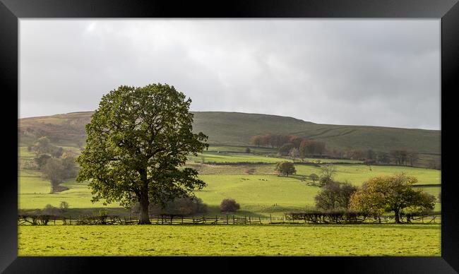 Derbyshire Dales landscape Framed Print by Jason Wells