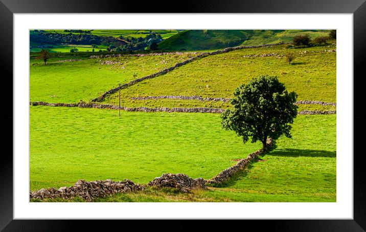 Landscape, Derbyshire Framed Mounted Print by Gerry Walden LRPS