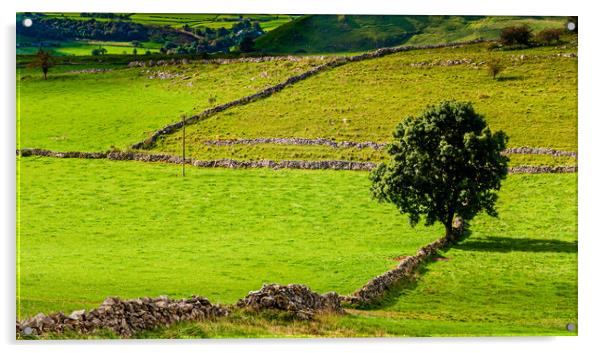Landscape, Derbyshire Acrylic by Gerry Walden LRPS