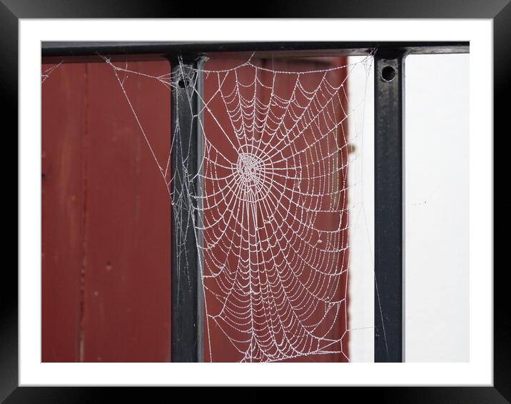 How can a little spider create such a perfect web Framed Mounted Print by Peter Hodgson