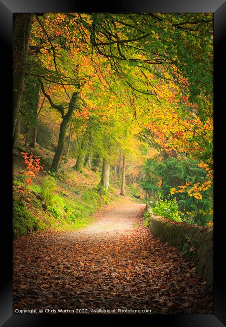 Autumn in Colby Woodland Gardens Framed Print by Chris Warren