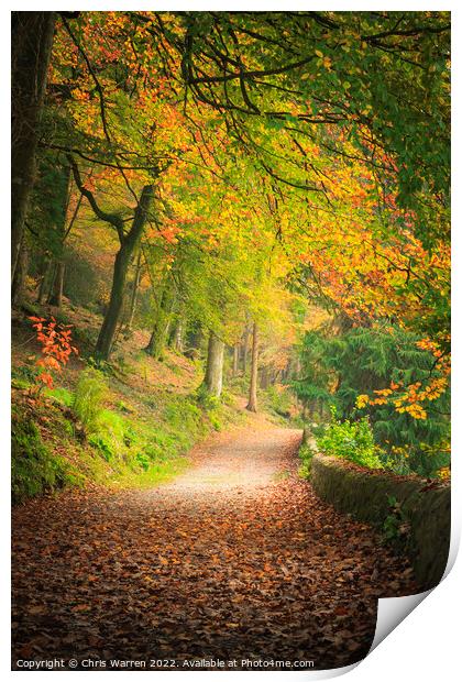 Autumn in Colby Woodland Gardens Print by Chris Warren